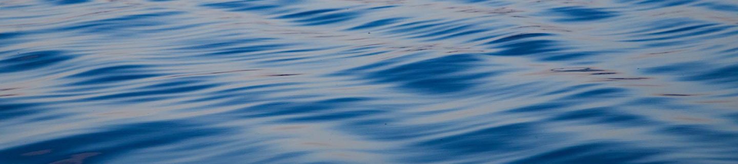 Finnofleet Header-Bild 05